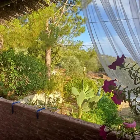 Marathos Hill * Volos